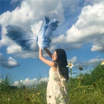 偷香圣手 在线观看